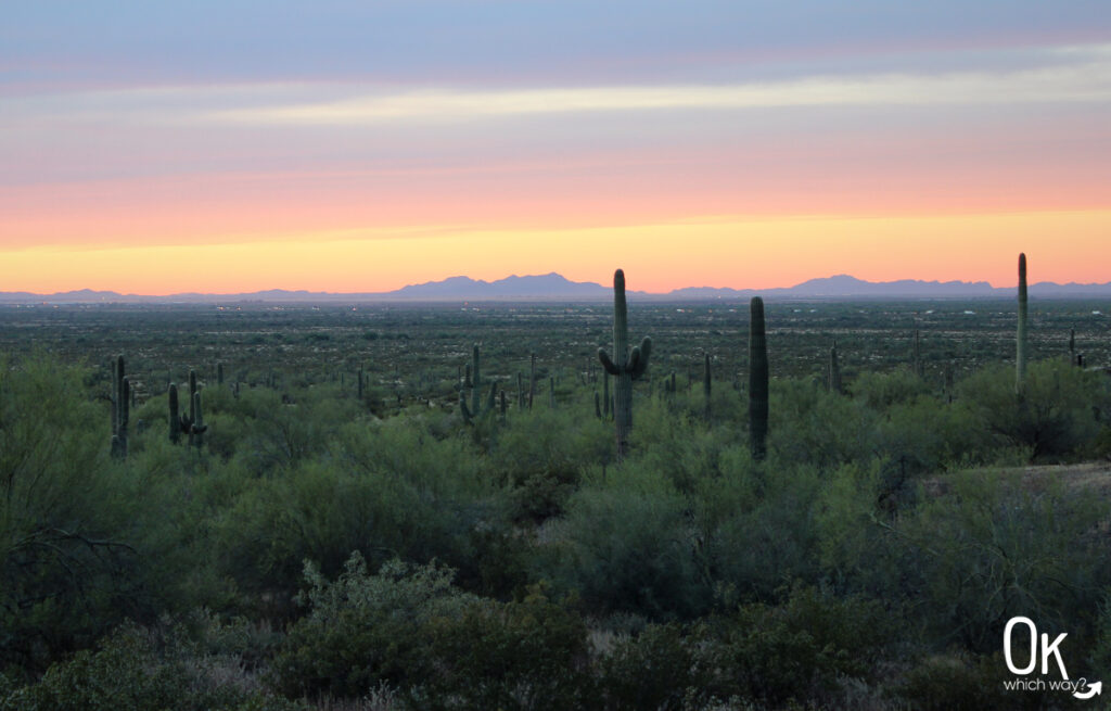 Picacho Peak State Park in Arizona | OK Which Way