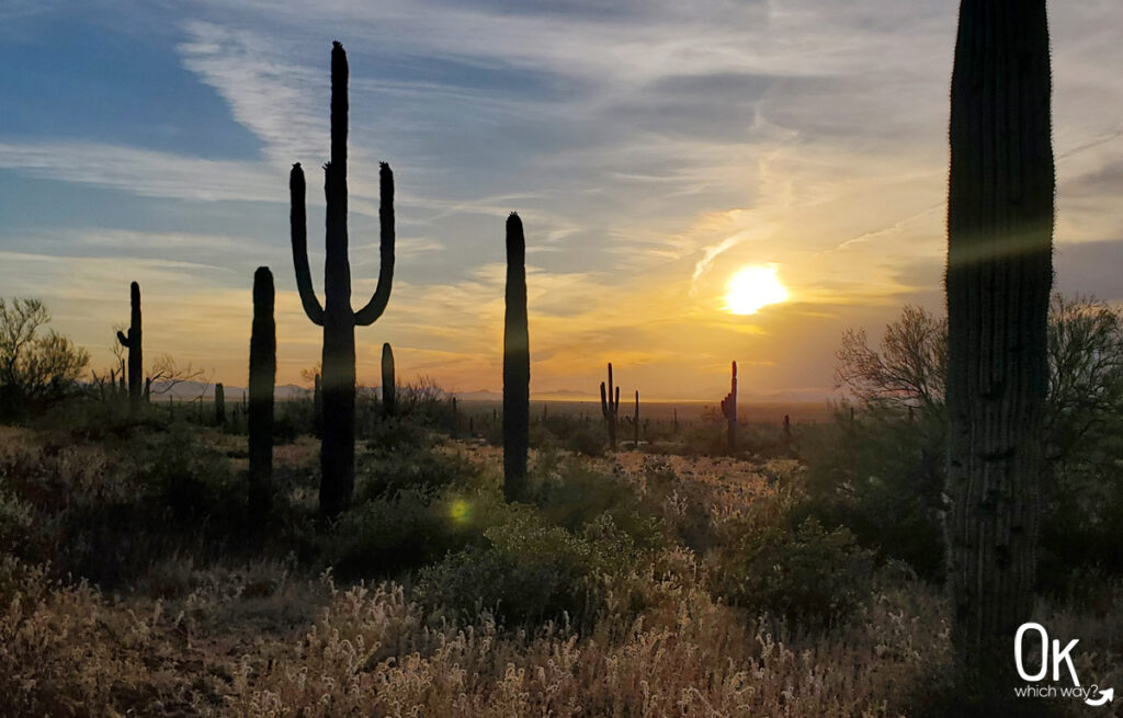 Sunset at Picacho Peak State Park | OK Which Way