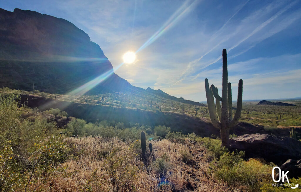 Visiting Picacho Peak State Park in Arizona | OK Which Way