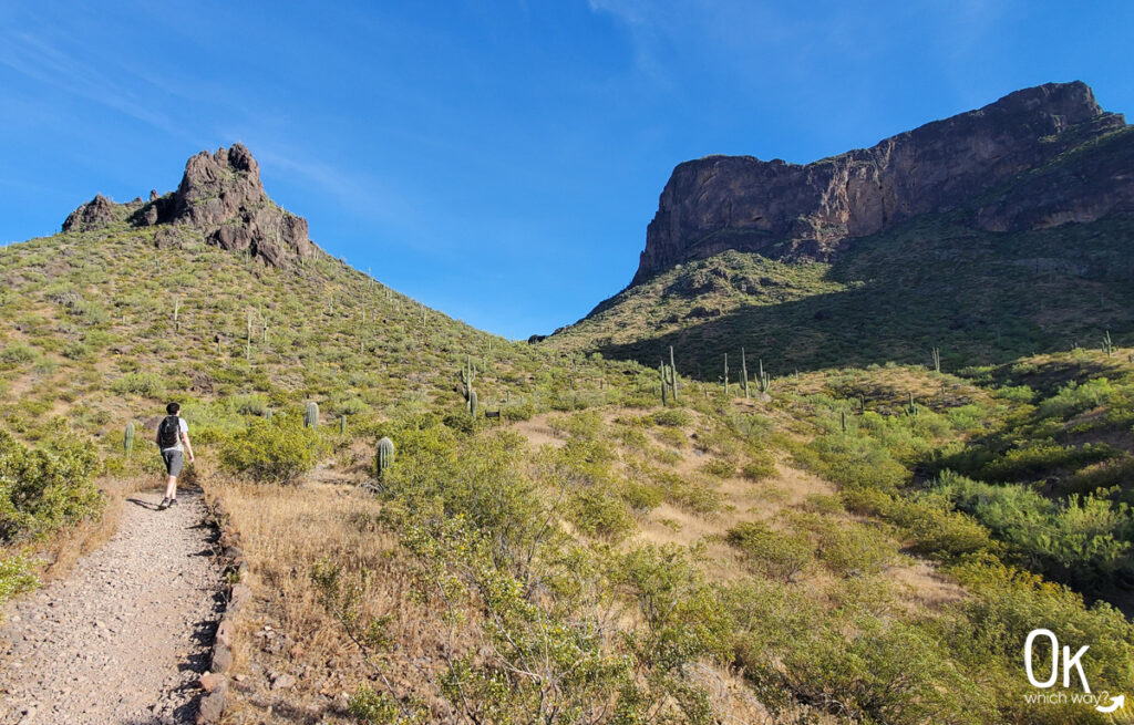 Hiking Picacho Peak State Park in Arizona | OK Which Way