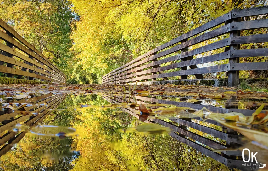 Autumn colors along the Banks-Vernonia State Trail in Oregon | OK Which Way