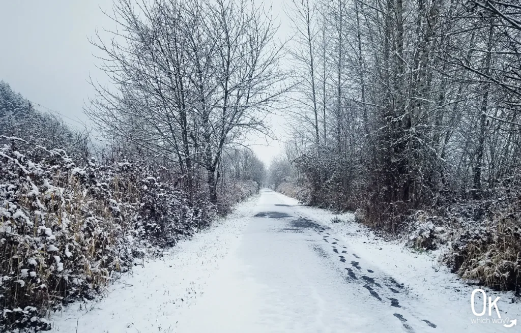 Snow on the Banks-Vernonia State Trail | OK Which Way