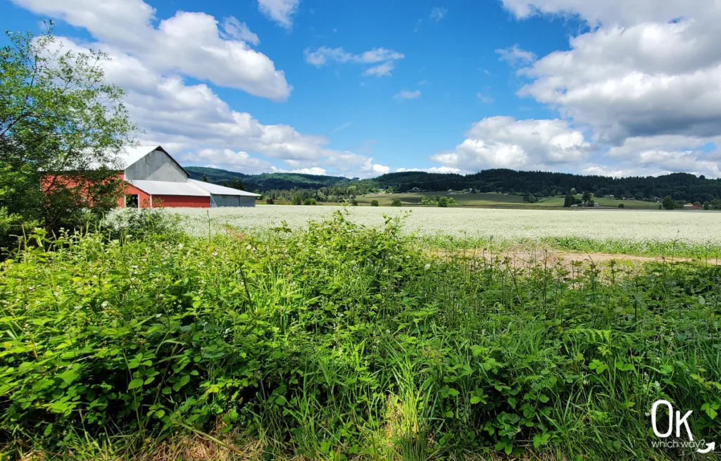 Banks-Vernonia State Trail | OK Which Way