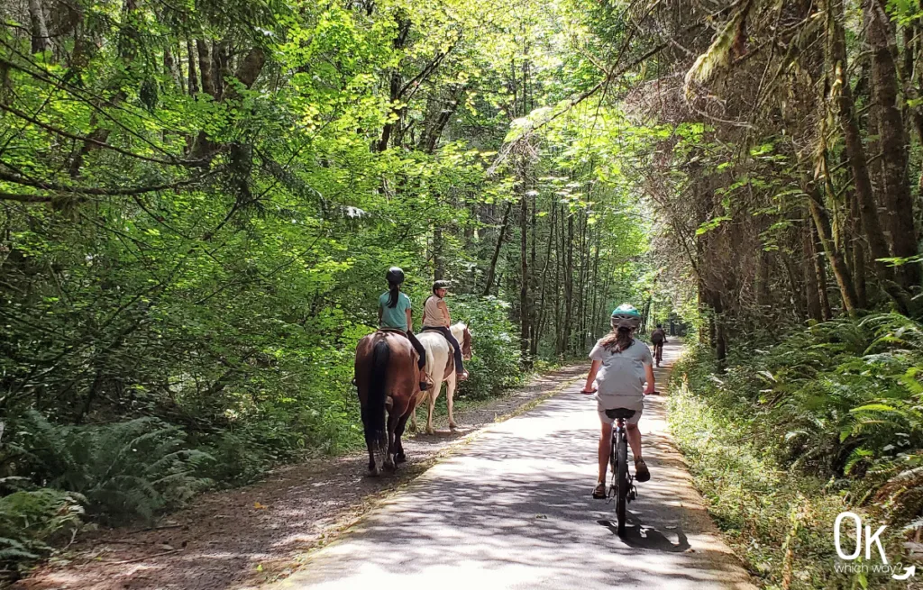 horses on the Banks-Vernonia State Trail | OK Which Way