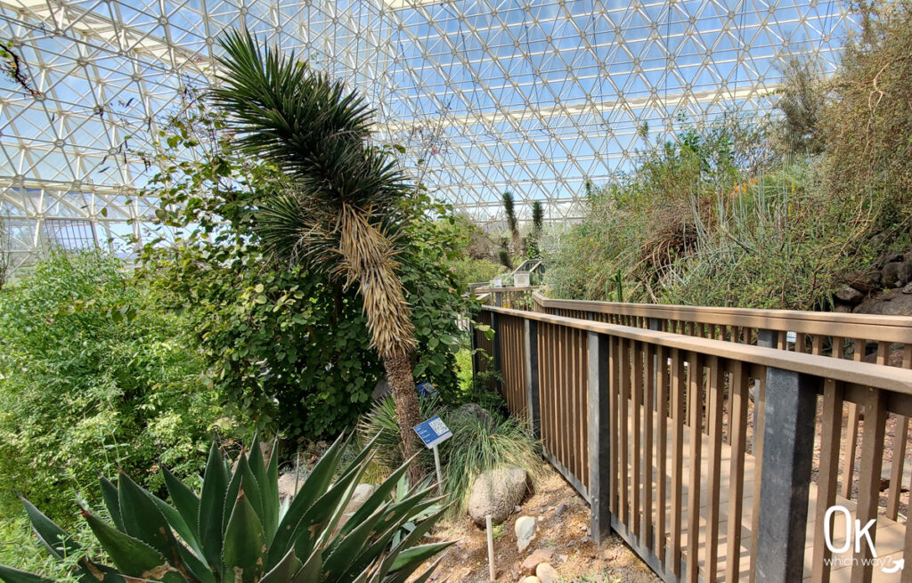 Biosphere 2 fog desert | OK Which Way