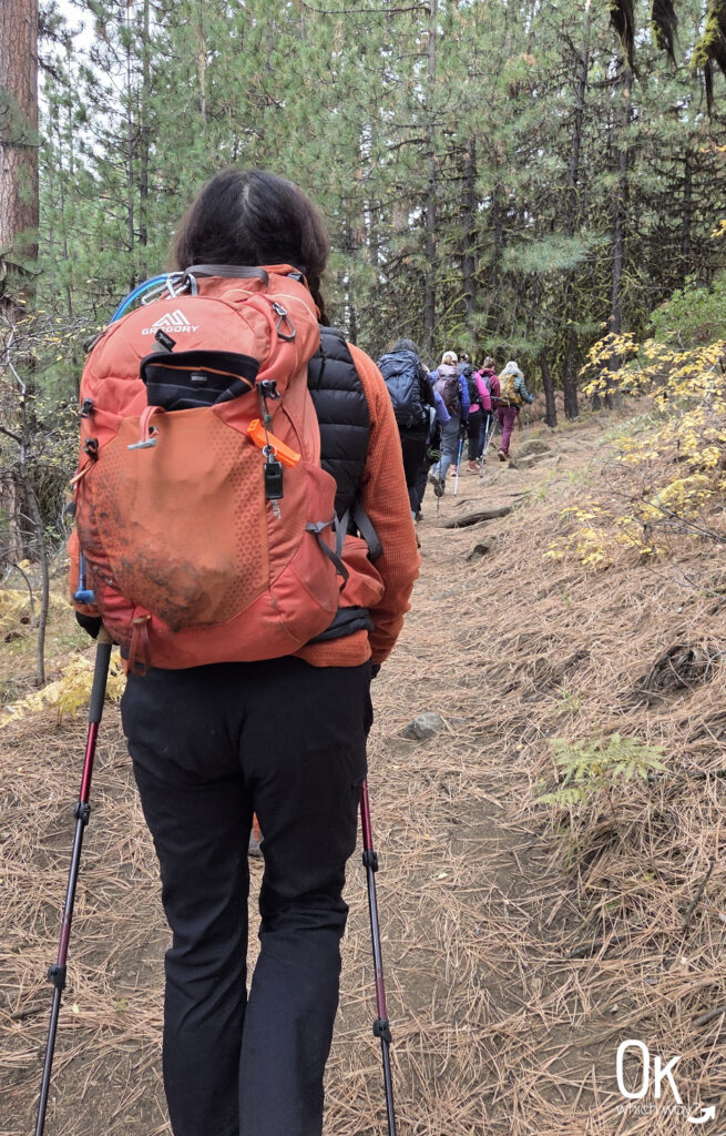 Black Butte Trail near Sisters, Oregon | OK Which Way