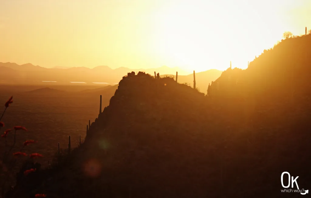 Gates Pass Overlook at Tucson Mountain Park | OK Which Way