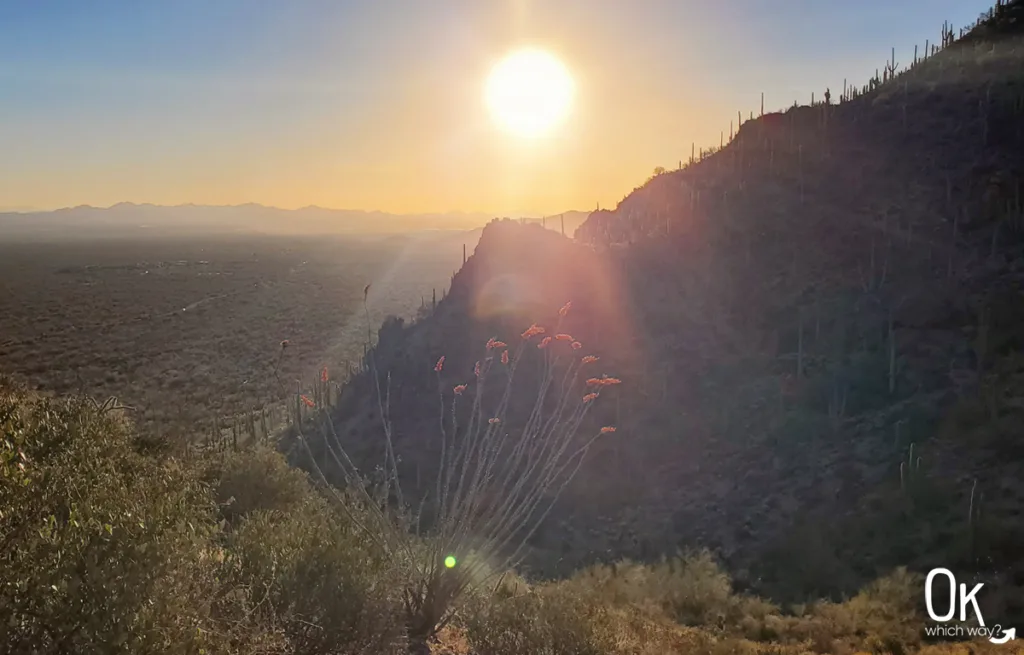 Sunset at Gates Pass Overlook in Tucson Mountain Park | OK Which Way