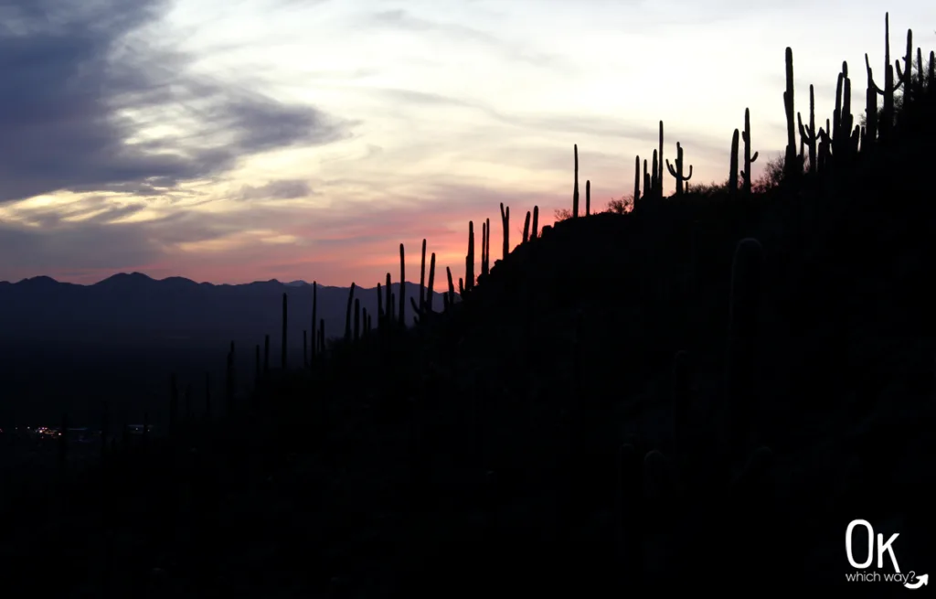 Gates Pass Overlook at Tucson Mountain Park | OK Which Way