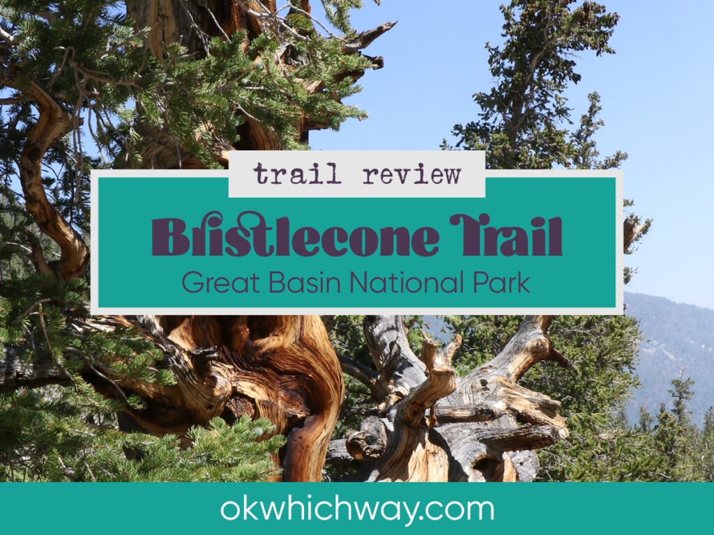 Bristlecone Trail Review in Great Basin National Park | OK Which Way