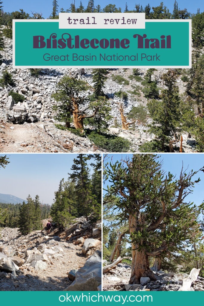 Hiking the Bristlecone Trail in Great Basin National Park in Nevada | Trail Review | OK Which Way
