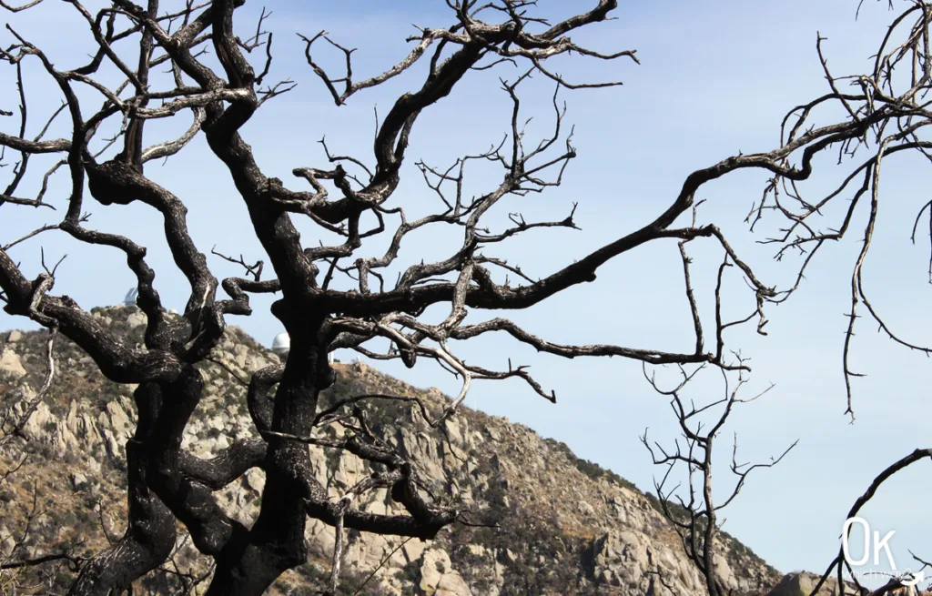 Touring Kitt Peak Observatory in Tucson | OK Which Way