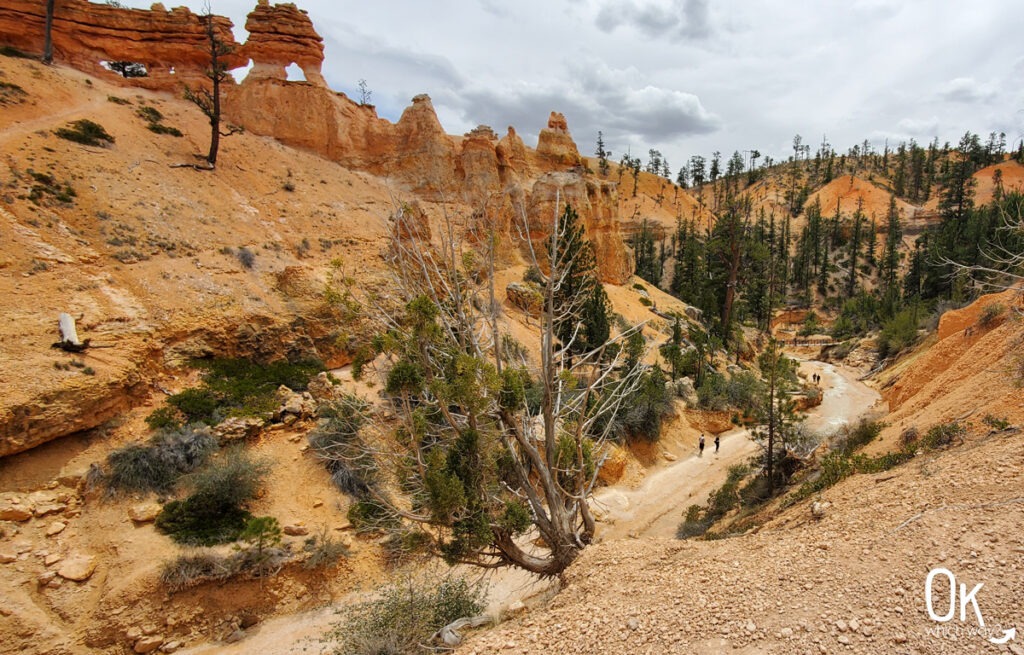 Mossy Cave Trail at Bryce National Park | OK Which Way