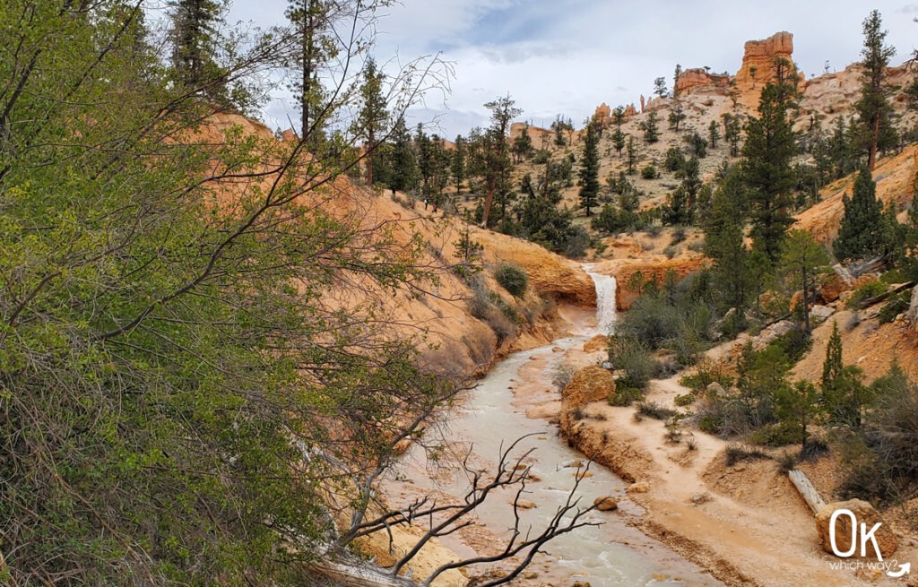 Tropic Ditch Falls at Mossy Cave Trail at Bryce National Park | OK Which Way