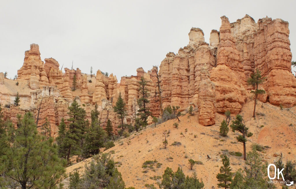 Hoodoos along Mossy Cave Trail at Bryce National Park | OK Which Way