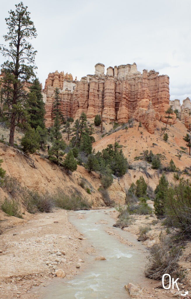 Tropic Ditch at Mossy Cave Trail in Bryce National Park | OK Which Way