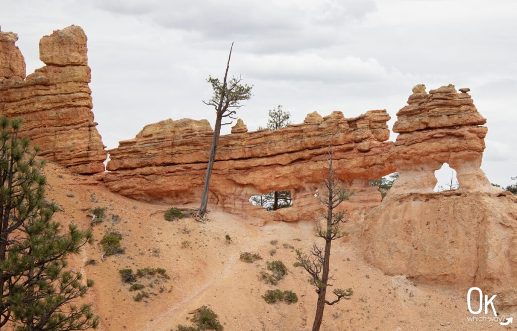 Windows and arches along Mossy Cave Trail at Bryce National Park | OK Which Way