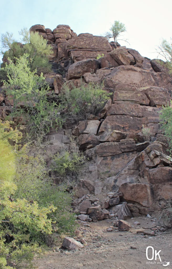 Picture Rocks Petroglyphs in Tucson | OK Which Way