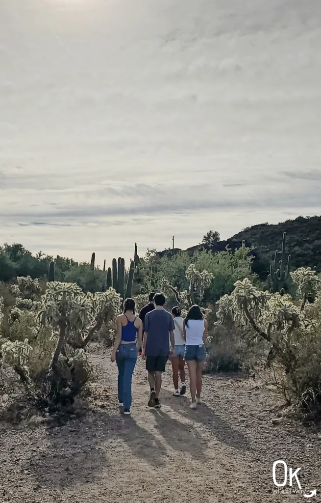 Trail to Picture Rocks Petroglyphs in Tucson | OK Which Way