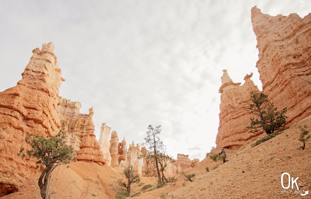 Hoodoos seen while hiking at Bryce Canyon National Park | OK Which Way