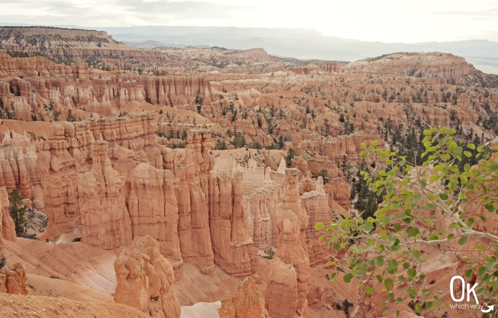 Bryce Canyon National Park Amphitheater | OK Which Way