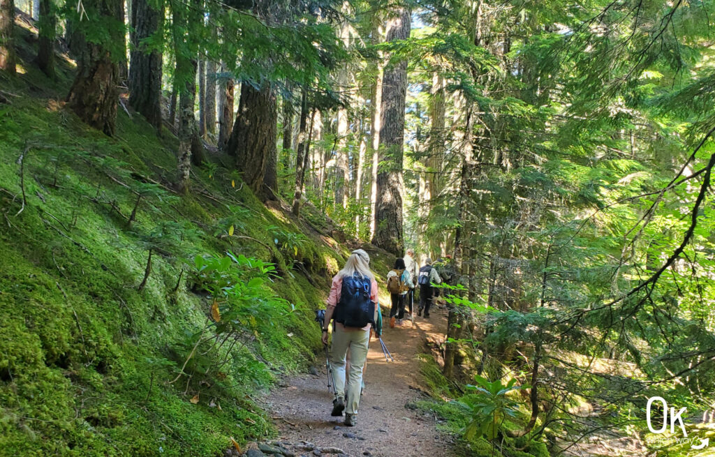 Hike to Ramona Falls on Mount Hood | Trail Review by OK Which Way