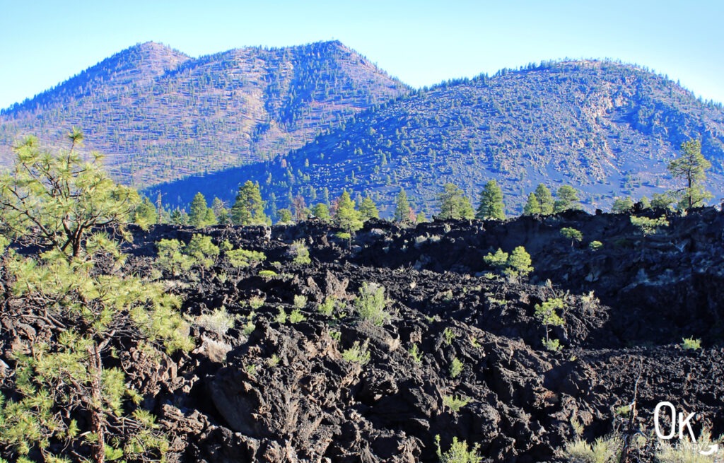 O'Leary Peak, Darton Dome, and Bonito Lava Flow | OK Which Way