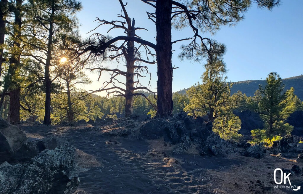 Hiking at Sunset Crater Volcano National Monument in northern Arizona | OK Which Way