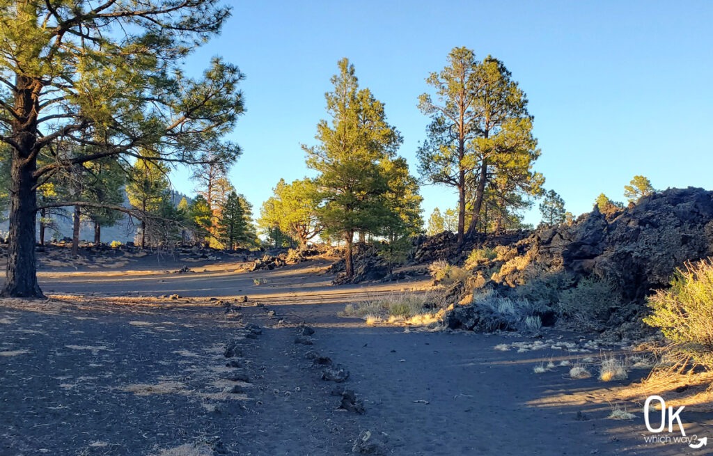 Lava's Edge Trail at Sunset Crater Volcano National Monument in Arizona | OK Which Way