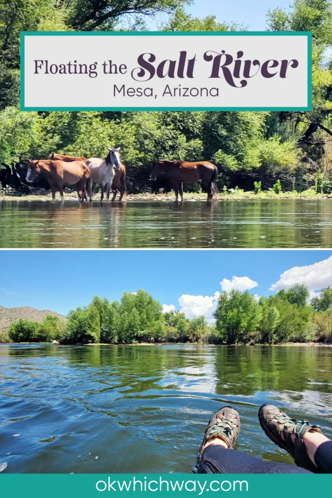 Floating the Salt River near Mesa, Arizona | OK Which Way