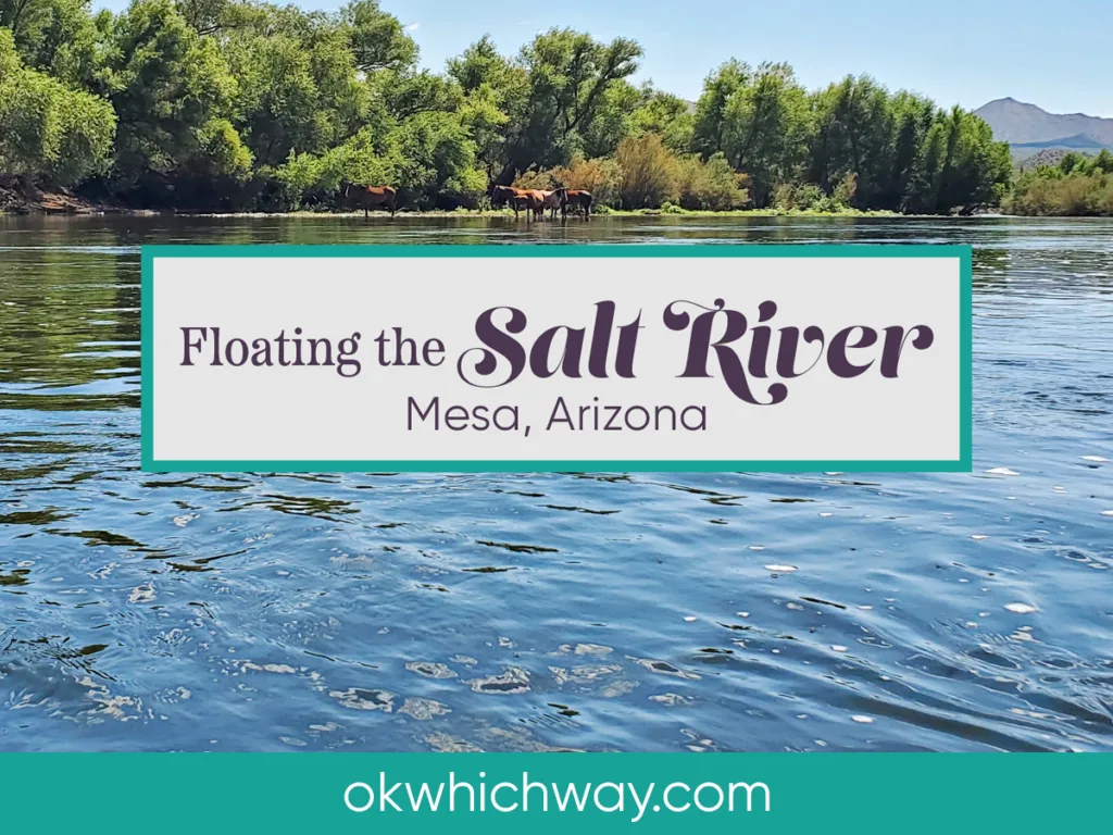 Floating the Salt River in Arizona | OK Which Way