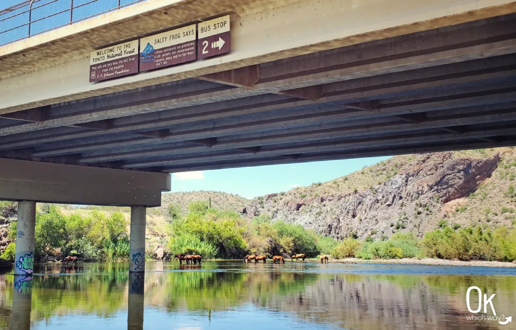 Blue Point Bridge over Salt River | OK Which Way