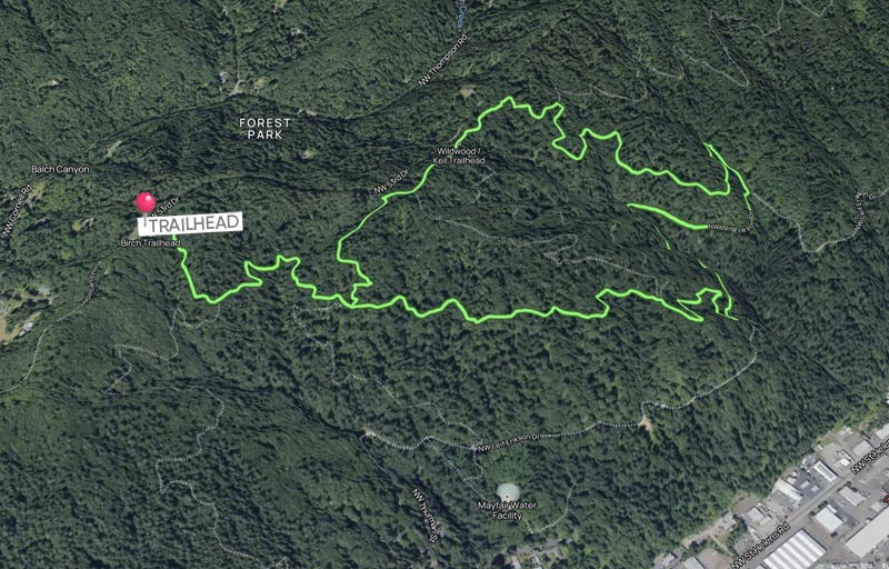 Wildwood Trail Leif Erikson Alder Map | OK Which Way