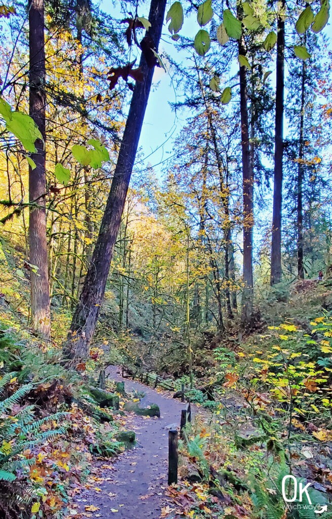 Wildwood Trail Guide Balch Creek Canyon | OK Which Way