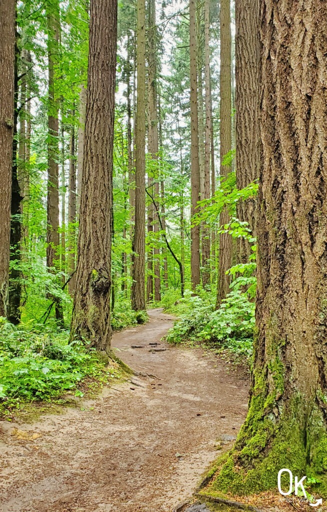 Wildwood Trail Guide | OK Which Way