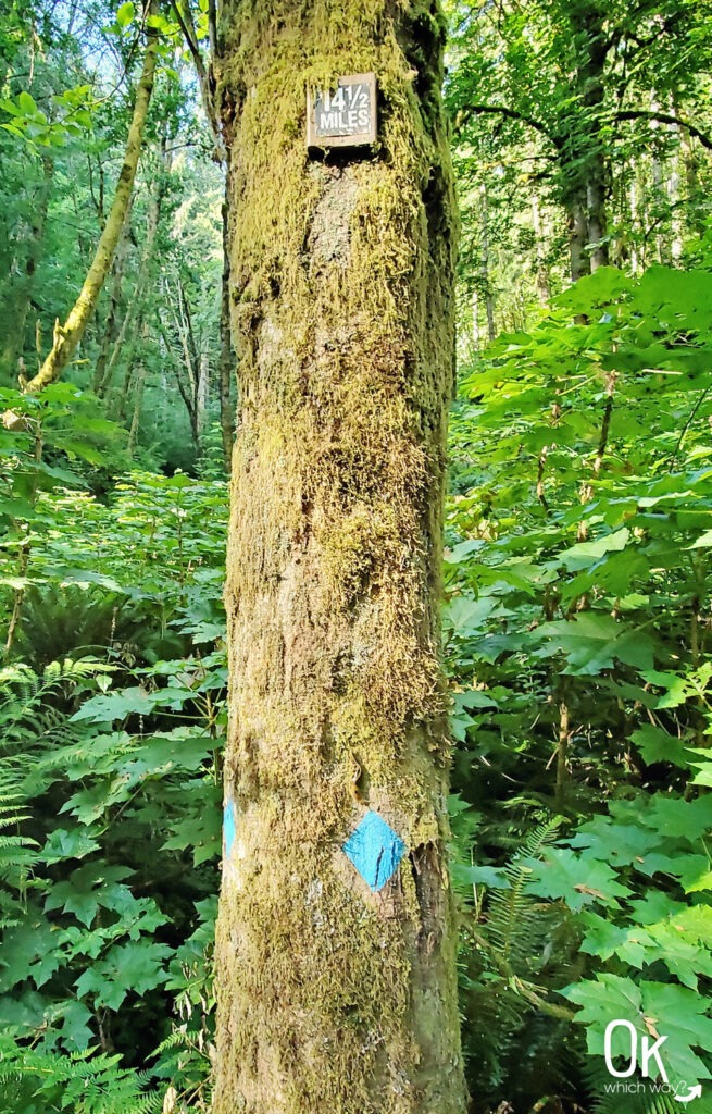 Wildwood Trail blue diamond markers | OK Which Way