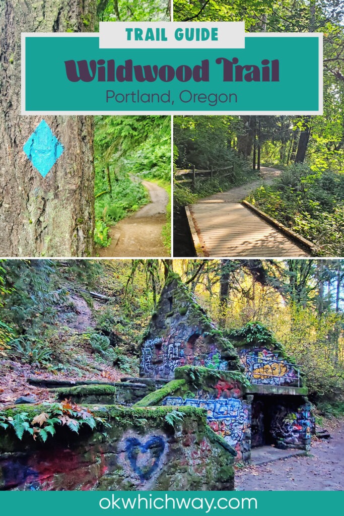 Wildwood Trail Guide in Forest Park, Portland | OK Which Way
